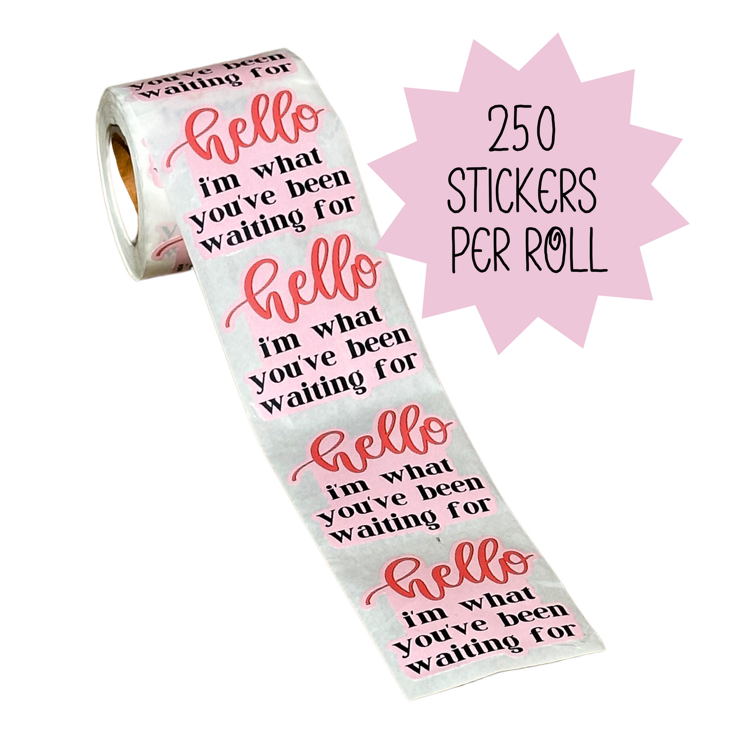Hello I’m What You’ve Been Waiting for Stickers for Poly Mailers | 250 Pc Roll