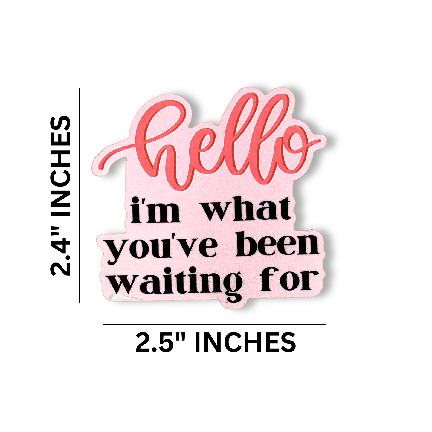 Hello I’m What You’ve Been Waiting for Stickers for Poly Mailers | 250 Pc Roll