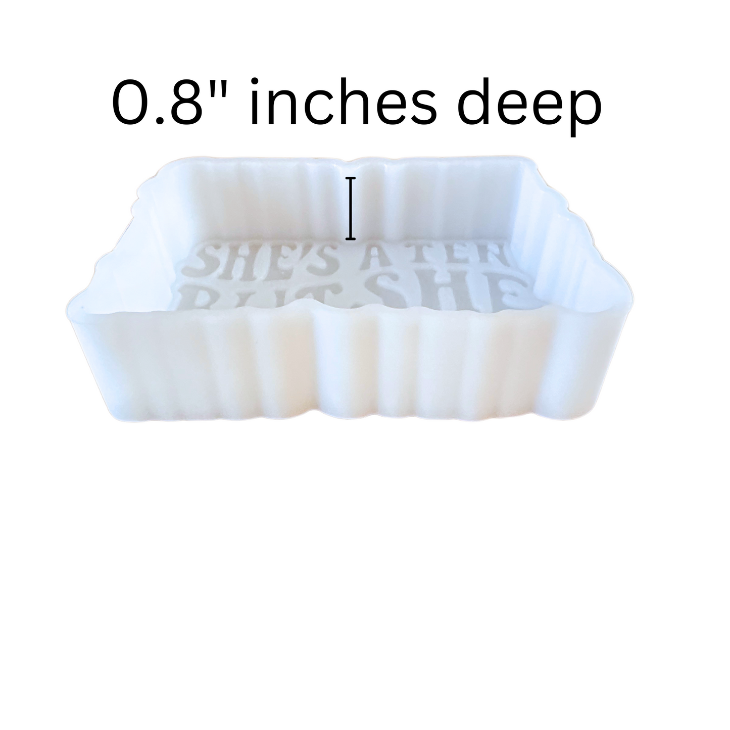She’s A 10 But She Hits Curbs Freshie Silicone Mold 2.5 x 3.75 x 0.8”