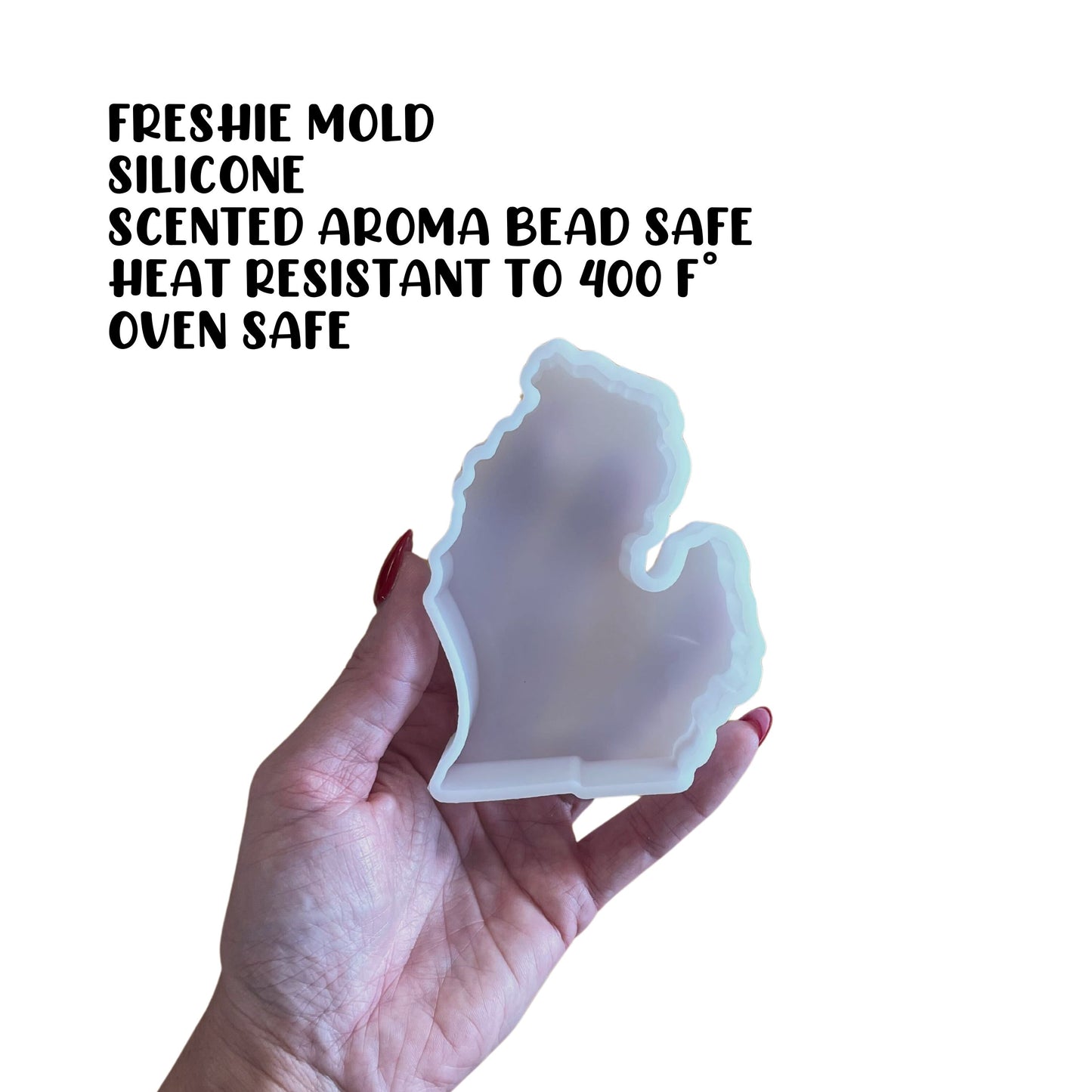 State of Michigan Football Silicone Mold