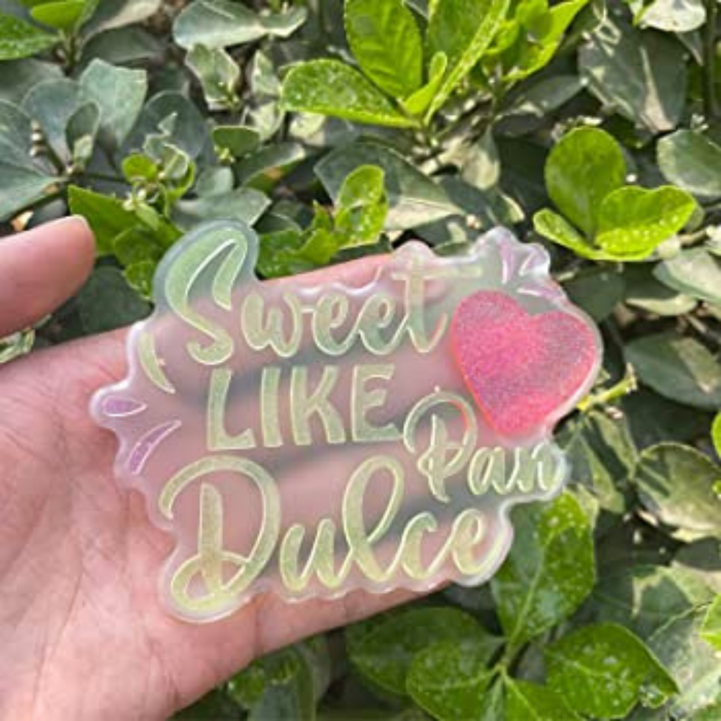 Sweet Like Pan Dulce Silicone Mold