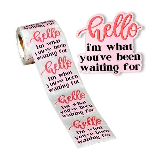 Hello I’m What You’ve Been Waiting for Stickers for Poly Mailers | 250 Pc Roll